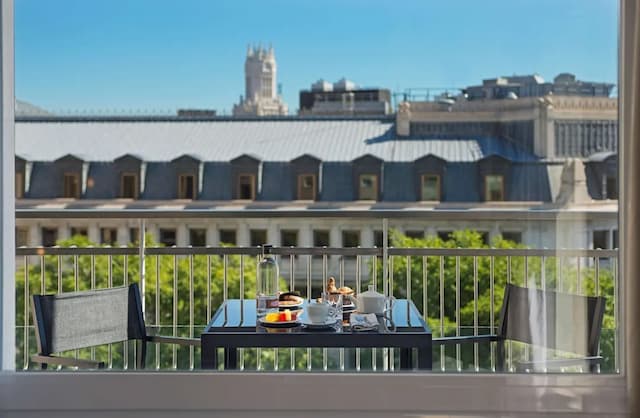 NH Collection Madrid Suecia-尊荣客房 (View)-2