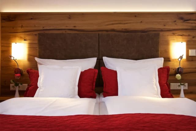 Park Hotel Laim-Superior Double Room-3