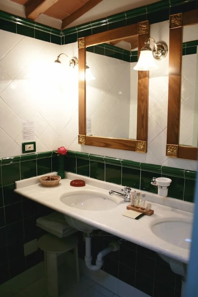 玫瑰園酒店-套房, 1 間臥室-10