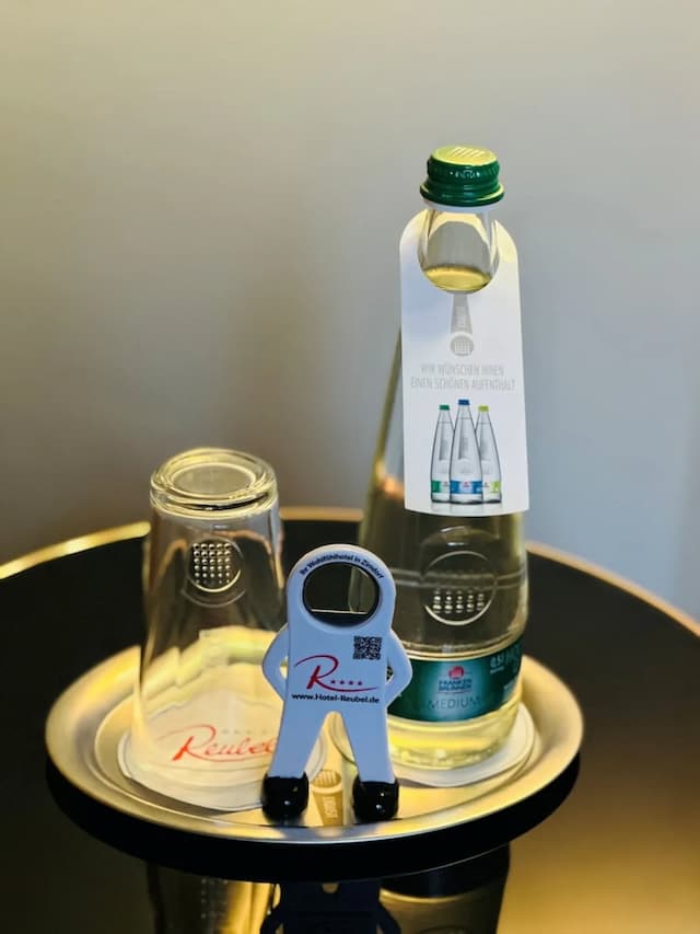 紐倫堡 - 齊爾恩多夫瑞貝爾環形酒店-標準單人房-4