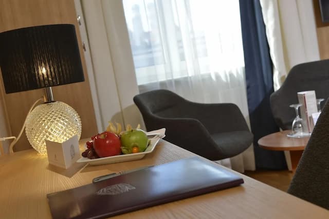 Hotel Torbräu-Superior Double Room-1