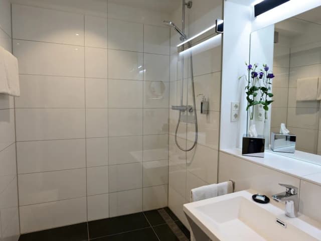 Mercure Hotel Kaiserhof Frankfurt City Center-高级房, 2 张单人床-7