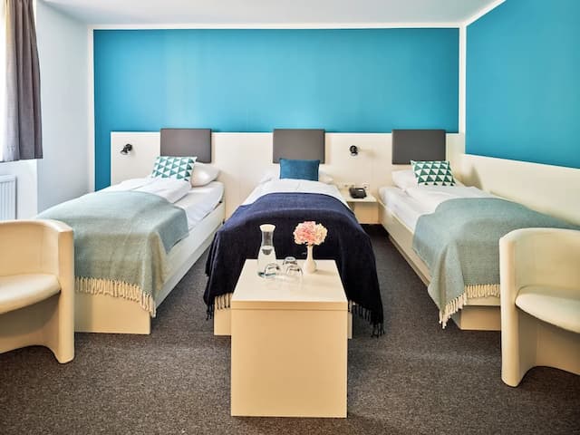 Brunnenhof City Center-舒适三人房-6