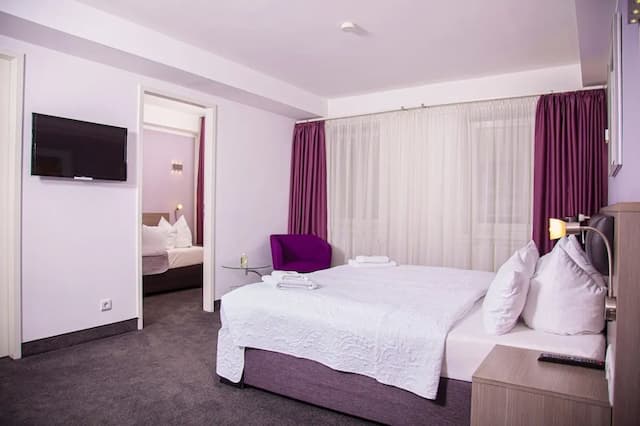 Hotel Nikolai Residence-三人房-14