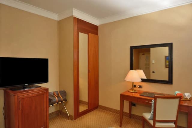 羅馬勞埃德 LH 飯店-單人房-8