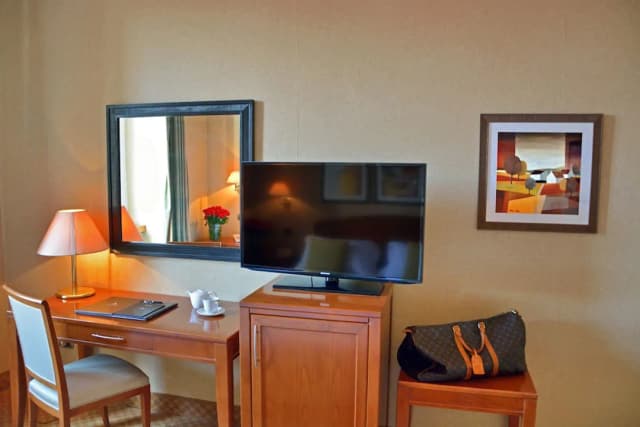 羅馬勞埃德 LH 飯店-單人房-6