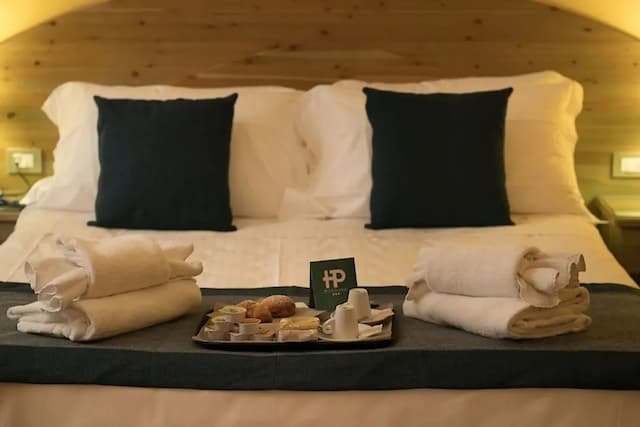 Hotel Potenza-Double Room Single Use-5