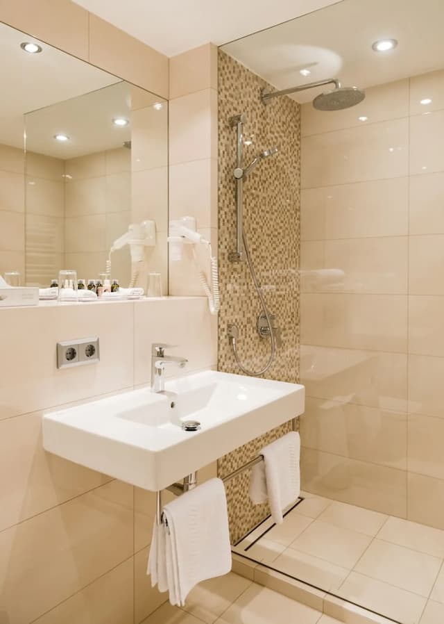 Hotel Europa-Standard Double Room-10