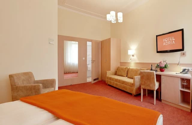 Hotel Adria München-小型套房-2