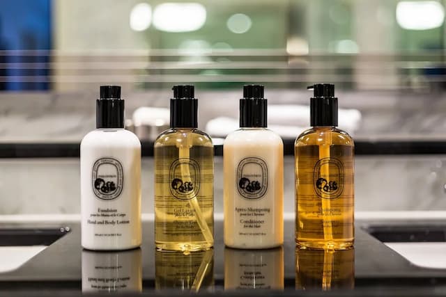 柏林麗思卡爾頓飯店-豪華客房, 1 張特大雙人床, 邊間-4