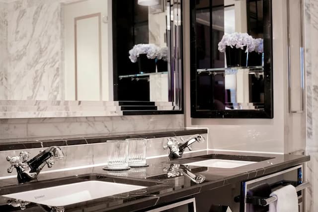 柏林麗思卡爾頓飯店-普通套房, 1 間臥室-5