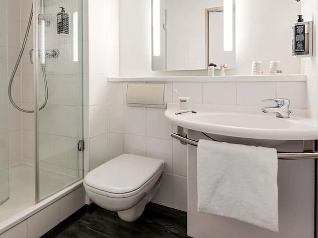 イビスレーゲンスブルクシティ-スタンダード ダブルルーム ダブルベッド 1 台-8