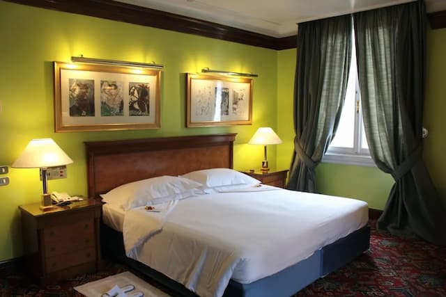 阿爾巴尼佛羅倫薩飯店-豪華雙人房-3