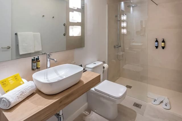 Hotel SERHS Rivoli Rambla-华丽双人房或双床房-11