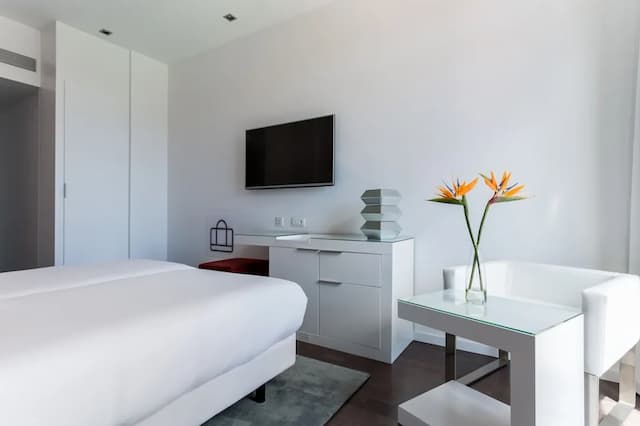 룸 메이트 칼라, 바르셀로나-이그제큐티브룸, 파티오-2