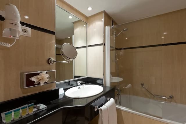 巴拉哈斯參議員飯店-雙人房, 2 張單人床-4