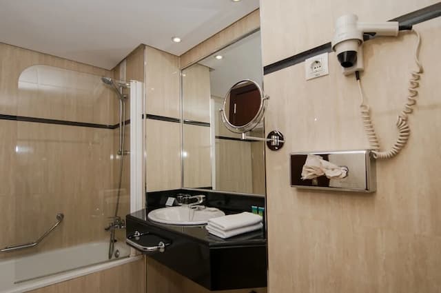 巴拉哈斯參議員飯店-雙人房單人入住-8