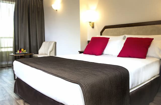 巴拉哈斯參議員飯店-雙人房, 1 張加大雙人床-1