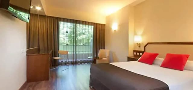 巴拉哈斯參議員飯店-雙人房, 1 張加大雙人床-3