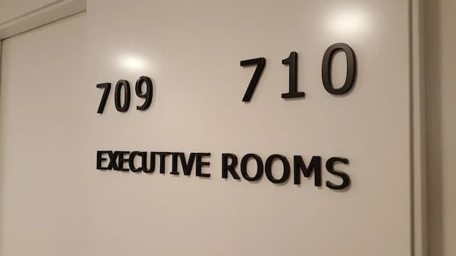 巴拉哈斯參議員飯店-行政雙人房-2