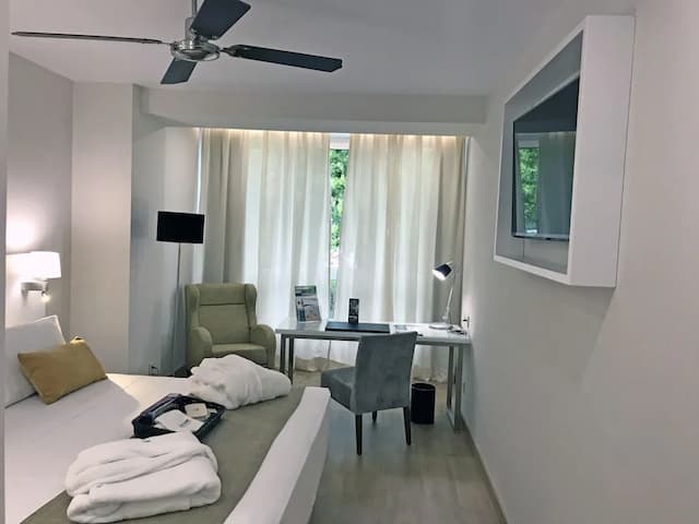 巴拉哈斯參議員飯店-行政雙人房-5