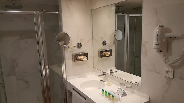 巴拉哈斯參議員飯店-高級雙人房-4