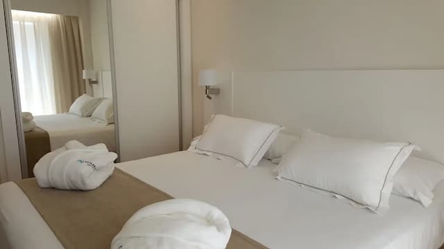 巴拉哈斯參議員飯店-高級雙人房-1