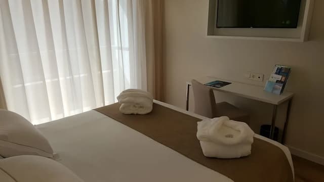 巴拉哈斯參議員飯店-高級雙人房-3