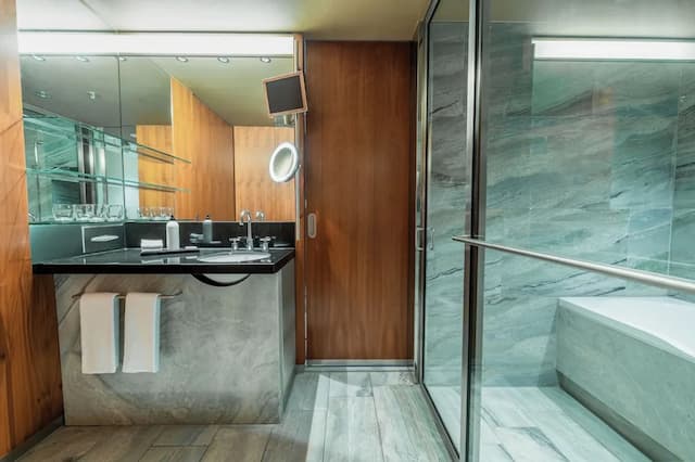 Grand Hyatt Berlin-俱乐部客房, 2 张单人床 (Club Access)-2