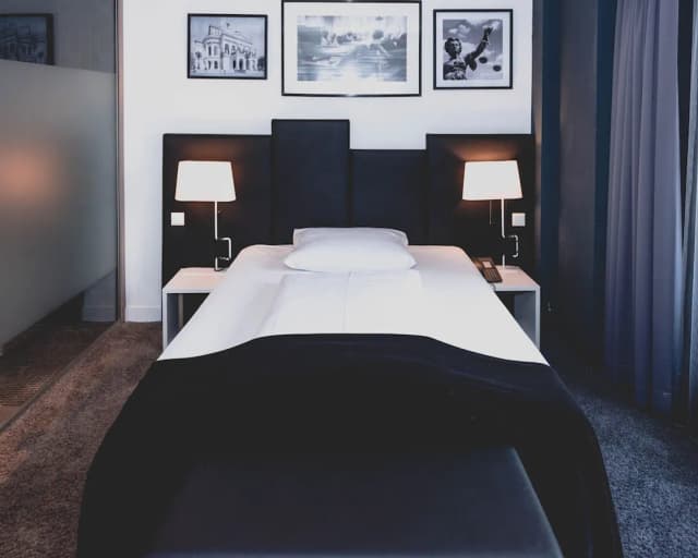 布利斯法蘭克福飯店-單人房-1