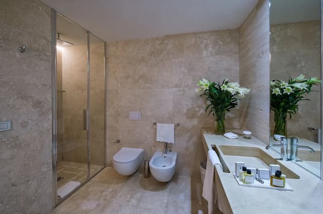 布里斯托席納貝爾尼尼飯店 - 傲途格精選-豪華客房, 1 張特大雙人床 (View)-4