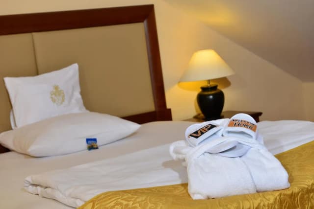 Best Western Plus Hotel Erb-Premium Room, 1 Double Bed-2