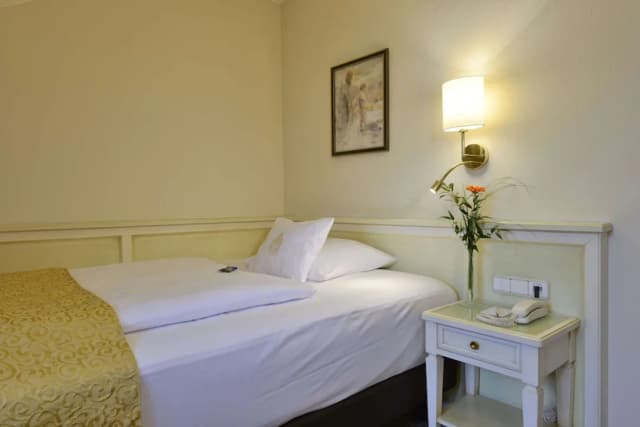 Best Western Plus Hotel Erb-Classic Room, 1 Queen Bed-1