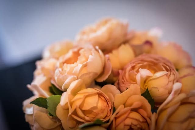 ホテル メルヒオール パーク-スタンダード シングルルーム-6