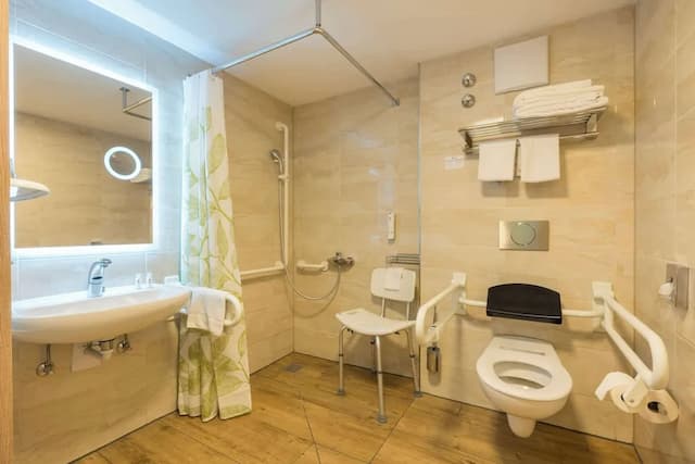 ベストウェスタン プラス ホテル フュッセン-スタンダード ルーム シングルベッド 2 台 バリアフリー (with Two Single SofaBeds)-3