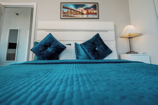 Congress Plaza Hotel-标准套房, 1 张特大床, 湖景, 湖畔-8