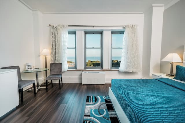 Congress Plaza Hotel-标准房, 1 张特大床, 湖景-7