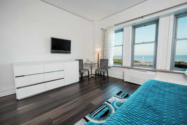 Congress Plaza Hotel-标准套房, 1 张特大床, 湖景, 湖畔-10