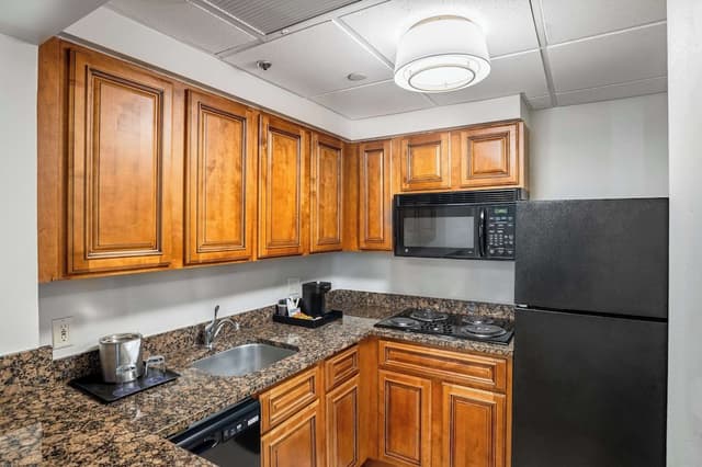 ダブルツリー バイ ヒルトン ヒューストン メディカル センター ホテル & スイーツ-ジュニア スイート クイーンベッド 2 台 キッチン-15