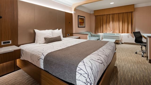 貝斯特韋斯特普拉斯套房飯店 - 洛杉磯 LAX 機場-標準客房, 1 張特大雙人床, 非吸煙房, 冰箱和微波爐-2