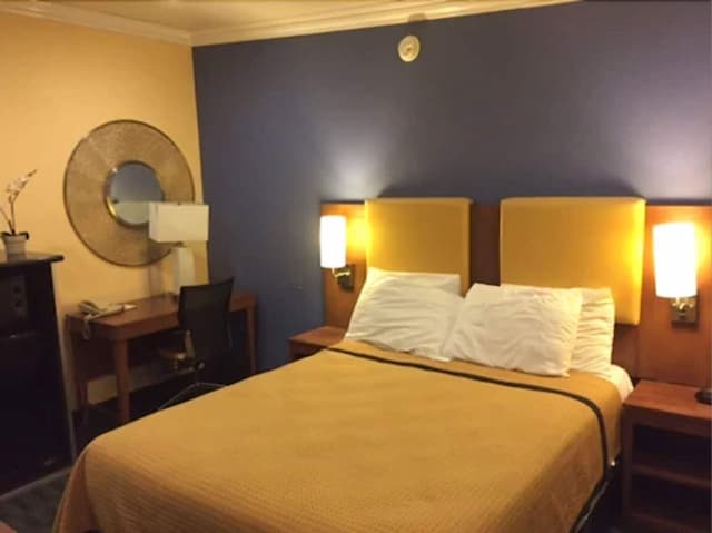 Days Inn by Wyndham San Francisco - Lombard-标准房, 1 张大床-4