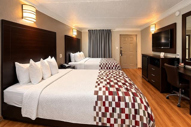 Red Roof Inn & Suites Houston - Hobby Airport-Superior Room, 2 Queen Beds, Non Smoking-6