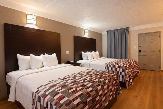 Red Roof Inn & Suites Houston - Hobby Airport-Superior Room, 2 Queen Beds, Non Smoking-3