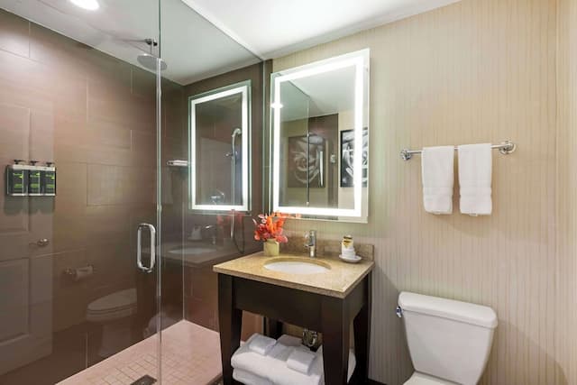 Best Western Plus Hawthorne Terrace Hotel-Suite, Multiple Beds, Non Smoking (with Sofabed)-5