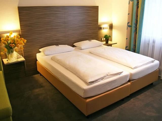 Hotel Am Zoo-標準雙人房-1