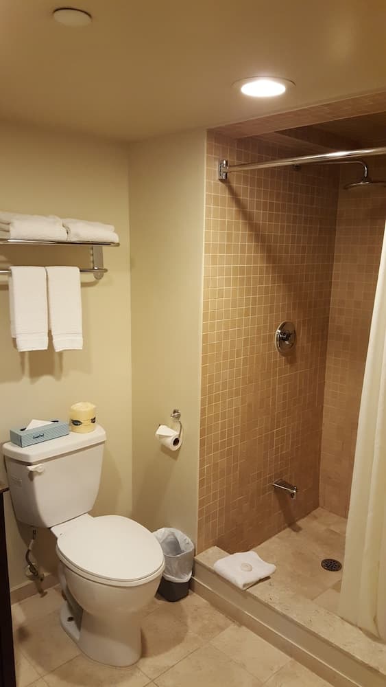 阿斯托里亞活動場地酒店-套房, 1 張加大雙人床, 小廚-9