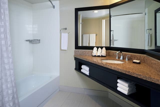 Embassy Suites by Hilton Los Angeles International Airport North-King, Accessible, Bathtub-3
