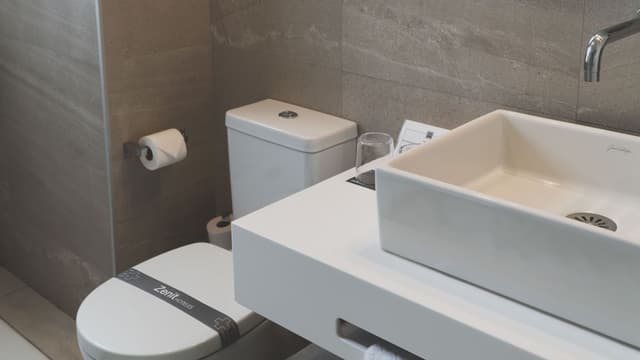 Hotel Zenit Conde de Orgaz-Standard Double or Twin Room-15