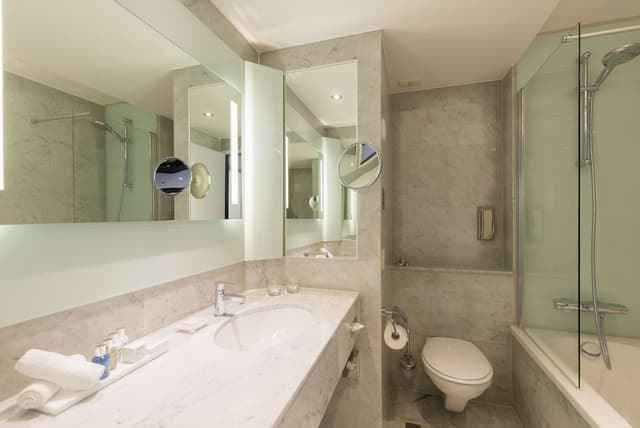 阿姆斯特丹市中心麗笙藍標酒店-高級客房-8