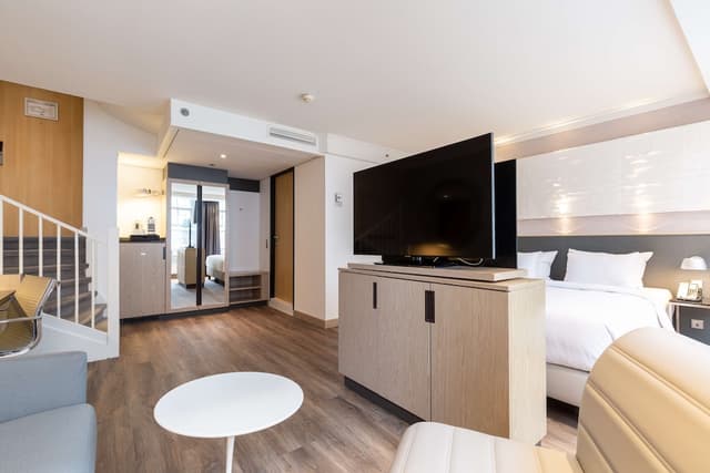 阿姆斯特丹市中心麗笙藍標酒店-普通套房-7